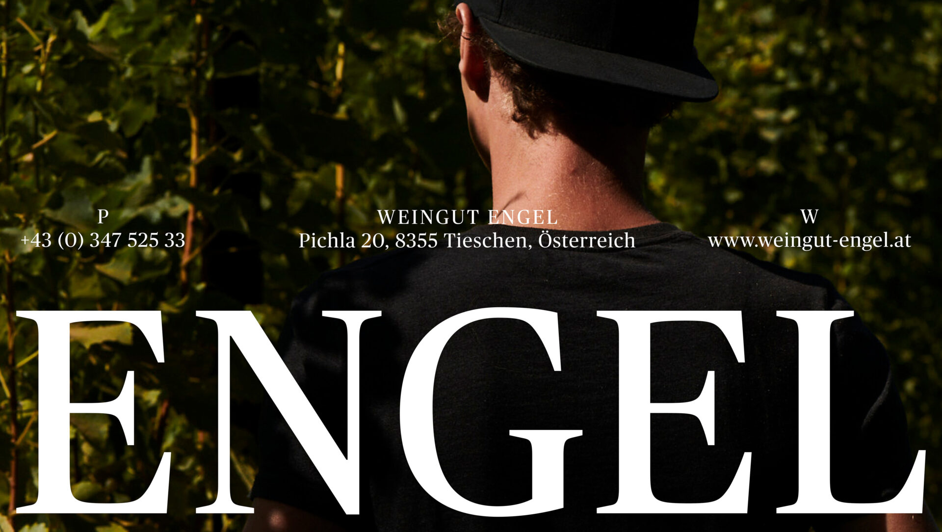  (Weingut Engel, Studio Bruch)